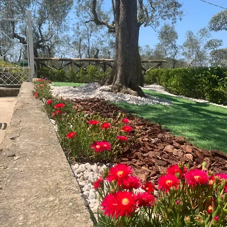 Bed and Breakfast A B&b,relaxing Location With Seaview