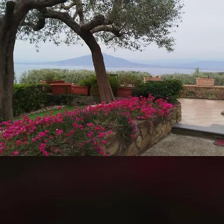 Bed and Breakfast A B&b,relaxing Location With Seaview