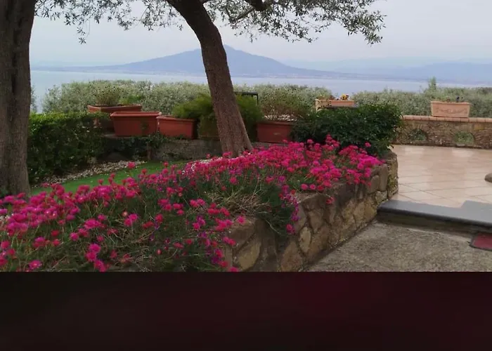 Oda ve Kahvaltı A B&b,relaxing Location With Seaview