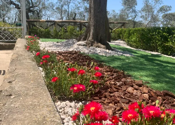 住宿加早餐酒店 A B&b,relaxing Location With Seaview